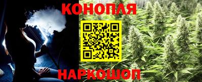гашик Кандалакша