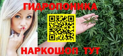 дурь Камышлов