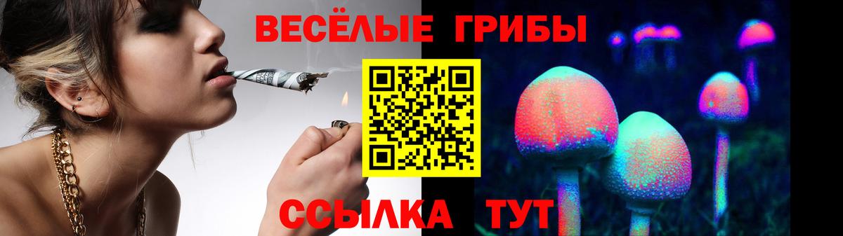 Псилоцибиновые грибы Cubensis Краснокамск